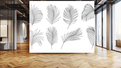 Collection of palm tree leaves vector Wall mural