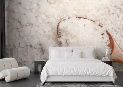 A large grain of sea salt on a gray background. Wall mural