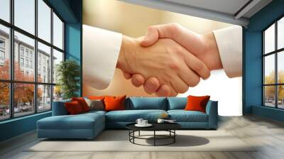 Two hands engaged in a firm handshake, symbolizing agreement, partnership, or mutual trust in a business or personal context. Wall mural