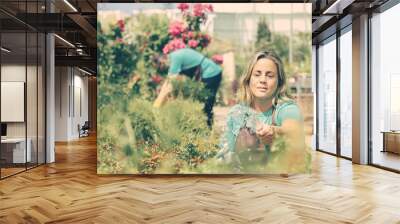 Beautiful woman holding hose, squatting and watering plants. Man out-of-focus growing flowers. Two gardeners wearing uniform and working in hothouse. Commercial gardening activity and summer concept Wall mural