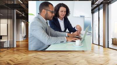 Female mentor teaching male newcomer at laptop. Business man and woman using computer in boardroom together. Mentorship concept Wall mural