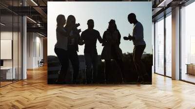 Friends enjoying outdoor party at sunset. Silhouettes of multiethnic men and women drinking beer and dancing on grass. Party at sunset concept Wall mural