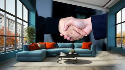 Businessman and woman handshake at office, business cooperation, success in business concept Wall mural