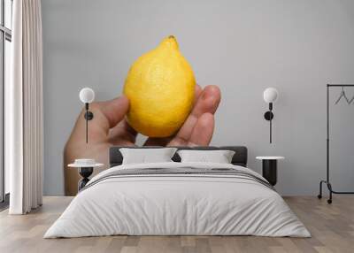 Hand holding lemon isolate on grey background Wall mural