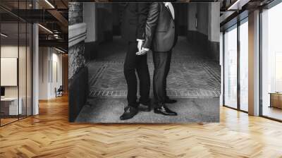 Homosexual newlyweds celebrating happy wedding day wearing black and blue suits. Wall mural