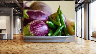 View of multi-colored vegetables ( chili pepper, brinjal, radish, beetroot) in a bowl plate Wall mural