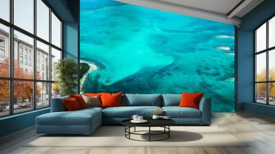 coral reefs and turquoise waters from a plane (los roques, venezuela) Wall mural