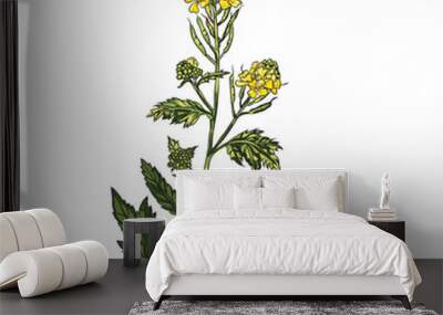 yellow mustard flower vector illustration hand drawing style  Wall mural