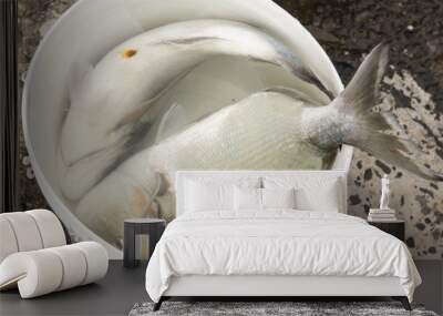 two big sea bream Wall mural