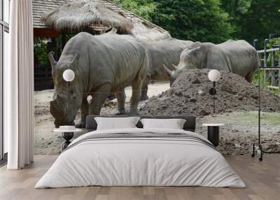 a large group of young rhinoceros in the garden Wall mural