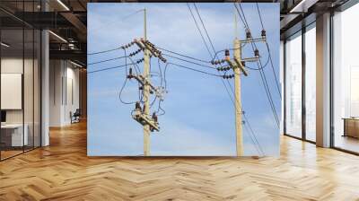 close up electric pylon in country Thailand Wall mural