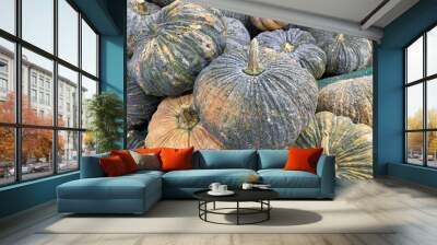 close up pumpkin fruit in market Wall mural