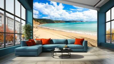 Colorful sand cliffs with white sandy beach containing four wheel drive tracks. Rainbow Beach, Queensland, Australia. Wall mural