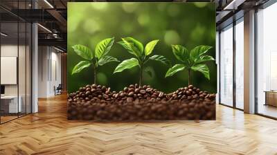 Growth trees concept coffee bean seedlings nature background beautiful green Wall mural