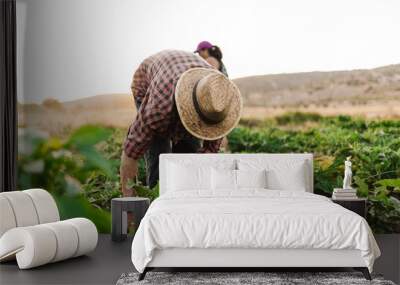 Young farmer man with hat working in his field Wall mural