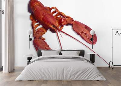 red lobster isolated on white background Wall mural