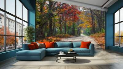 Bushy Gap Road in Autumn Wall mural