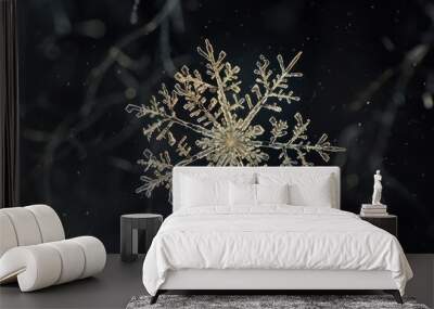 The delicate lace-like structure of a fragile snowflake against a dark background, Generative AI  Wall mural