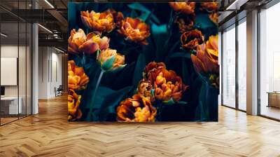 Close up of blooming flowerbeds of amazing orange parrot tulips during spring. Public flower garden, Netherlands. Dark moody photo Wall mural