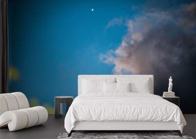 Blue sky with clouds and green leaf Wall mural