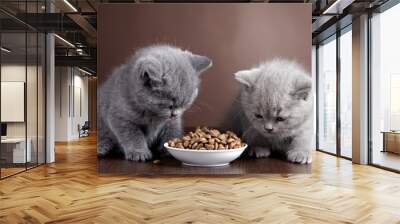 bowl of cat food and two kittens Wall mural