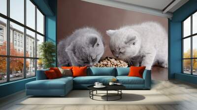 bowl with cat food and two kittens Wall mural