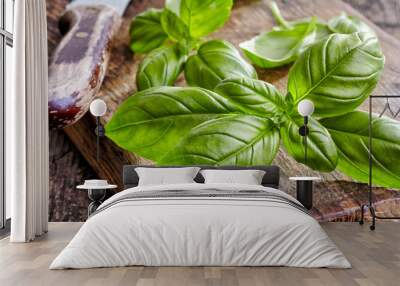 fresh basil leaves Wall mural