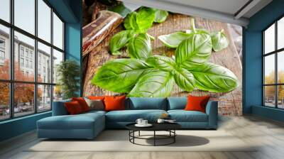 fresh basil leaves Wall mural