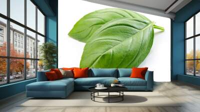 fresh green basil leaf Wall mural