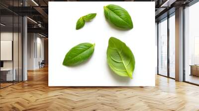 fresh green basil leaves Wall mural