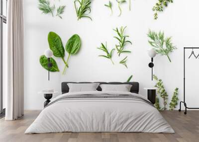 fresh herb and spices Wall mural