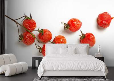 grilled cherry tomatoes Wall mural