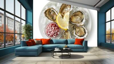 plate of fresh oysters on white background Wall mural