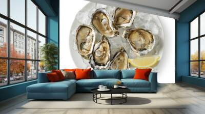 plate of fresh oysters on white background Wall mural