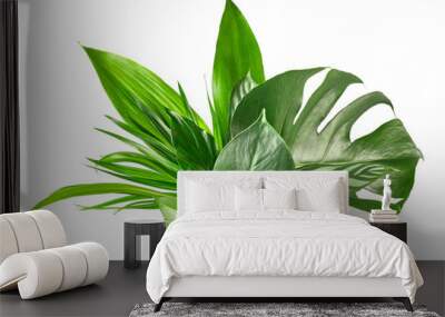 various tropical leaves Wall mural