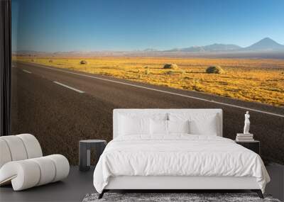 Atacama desert, Chile, Andes, South America. Beautiful view and landscape. Wall mural