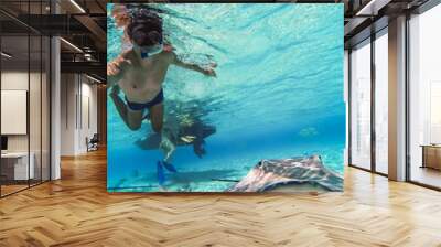 Manta rays swimming in Bora Bora Island in French Polynesia during snorkeling on this island paradise and turquoise blue water. Wall mural