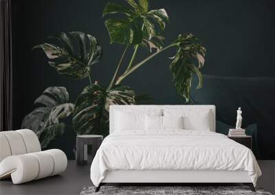 modern scandinavian couch with plant near. urban jungle Wall mural