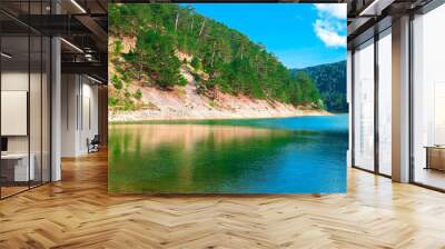 Sunnet Lake, clean green water and blue sky, Mountain Forests, Bolu, Turkey Wall mural