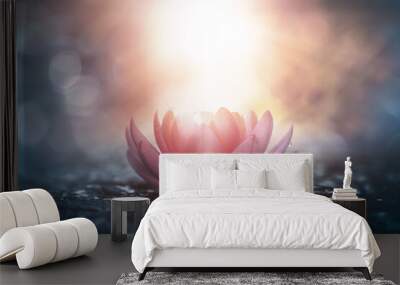 pink lotus flower in water with sunshine
 Wall mural