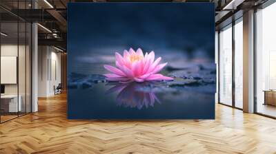 Pink Lotus Flower Or Water Lily Floating On The Water
 Wall mural