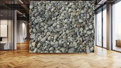 Beach of grey and whites stones Wall mural