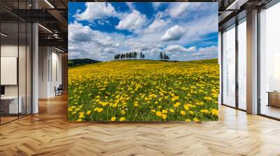 field of dandelion at sauerland, germany Wall mural