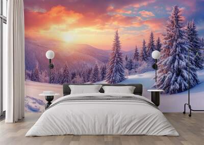 A stunning winter landscape shows snow-covered pine trees standing majestic on a mountain, illuminated by a colorful sunrise that casts a warm glow over the scene. Wall mural