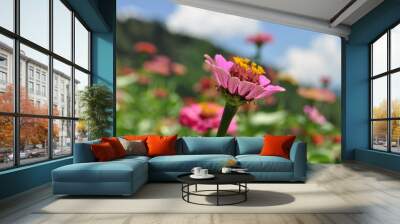 zinnia Wall mural