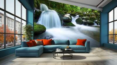 landscape green forest small waterfall with stone cascade Wall mural