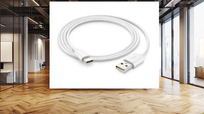 A white USB type C charger cable, compatible for many devices, wrapped in a spiral shape, isolated on white background. Wall mural