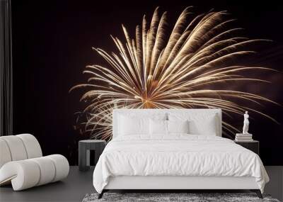 white bright celebration fireworks on plain black sky background from generative ai Wall mural