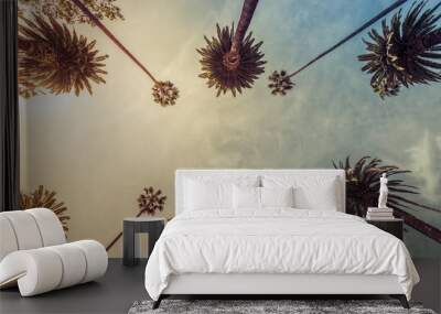 Los Angeles palm trees, low angle shot. Sun rays Wall mural