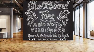 Chalkboard font. Typography alphabet with illustrations. Wall mural